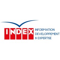 Agence INDEX logo - Similar company to Afrocom Digital