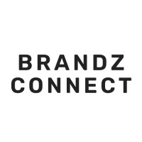 Brandz Connect logo - Similar company to Sf Web Designs
