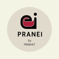 Pranei logo - Similar company to Pixispaze