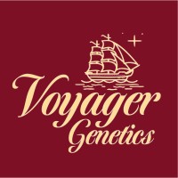 Voyager Genetics logo - Similar company to Remix Genetics