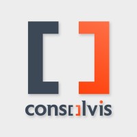 Consolvis GmbH logo - Similar company to Network Engineering Gmbh