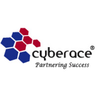 Cyberace Infovision Private Limited logo - Similar company to D Axis Digiweb Solutions Llp
