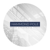 Hammond Pole Attorneys logo - Similar company to Andersen In South Africa