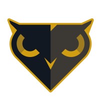 Black Owl Lease Accounting logo - Similar company to Valuepath Partners Inc.