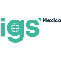 IGS México - Capítulo Mexicano de la Sociedad Internacional de Geosintéticos logo - Similar company to Geosin Geosynthetics