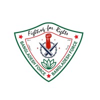 BD Force logo - Similar company to Pn Automation, Inc.