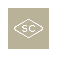 Steyn City logo - Similar company to Steyn Group