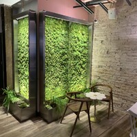 LIVE Moss Wellness Walls - Indoors & Out logo - Similar company to Bring Nature Indoors | Moss Walls