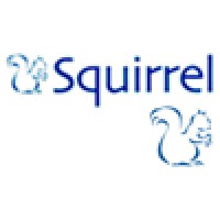 Squirrel Group logo - Similar company to Squirrel