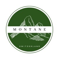 Montane Digital logo - Similar company to Chucktrans