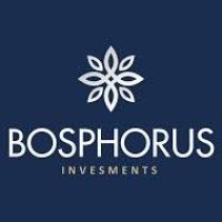 Bosphorus Invest logo - Similar company to Invest+ Consulting