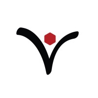 Vertex Systems, Inc. logo - Similar company to Satuit Technologies