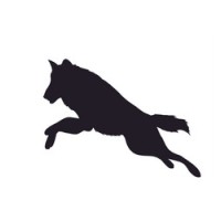 Toby Blue LLC logo - Similar company to It Training Wales