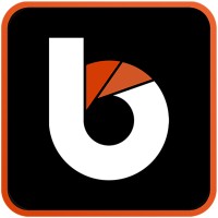 Blackwood IT logo - Similar company to Superfast It