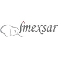 Imexsar FeSi logo - Similar company to Core Changemakers