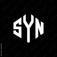 SYN Corporation logo - Similar company to Acs System Solutions