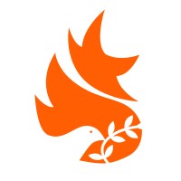 International Youth Alliance for Peace logo - Similar company to International Youth Alliance For Peace