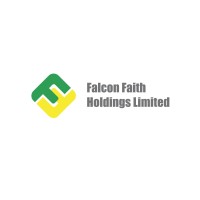 Falcon Faith Holdings Limited logo - Similar company to Techware Nz