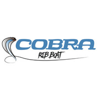 Semirrígidas Cobra logo - Similar company to One Seagate