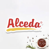ALCEDA S.A DE C.V logo - Similar company to Alceda