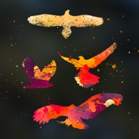 Four Hawk Media logo - Similar company to Backing It