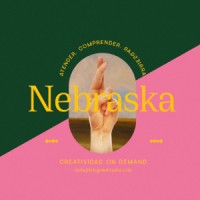 Nebraska logo - Similar company to Irving S. Gilmore Foundation