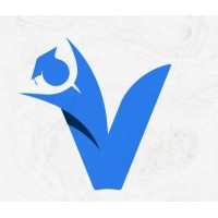 Vidyanth logo - Similar company to Internsveda