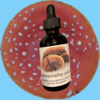 Magic Man Mushrooms logo - Similar company to Frametogo - Upframing Digital Print