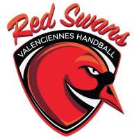 VALENCIENNES HANDBALL logo - Similar company to Saint-Amand Handball - Porte Du Hainaut