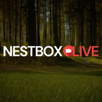 Nest Box Live logo - Similar company to Nestbox Ai