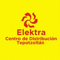 Elektra Cedis Tepotzotlan logo - Similar company to Stoneway Workforce Culture