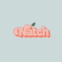 Nátch logo - Similar company to Stratevision.Fin