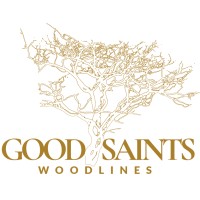 Good Saints LTD logo - Similar company to Larius Med