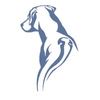 Ridgeback Consulting Limited logo - Similar company to Orbis Limited