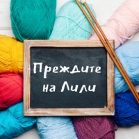 Lilly's Yarn store logo - Similar company to Wild Yarn