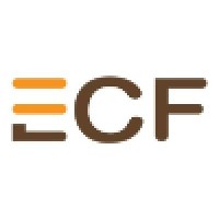 Equal Community Foundation logo - Similar company to The We Foundation