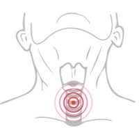 National Tracheostomy Safety Project logo - Similar company to Ecls Virtual Advisors (Eva)