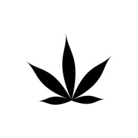 The Plug Solutions