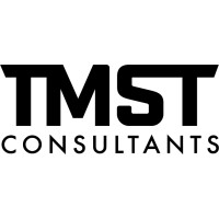 TMST Consultants logo - Similar company to Tmts Llc