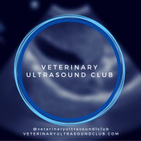 Veterinary Ultrasound Club logo - Similar company to European College Of Veterinary Diagnostic Imaging®