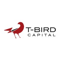 T-Bird Capital logo - Similar company to Mac Group Consulting