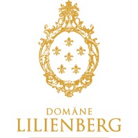 DOMÄNE LILIENBERG WEINBAU GMBH logo - Similar company to Cambuildr