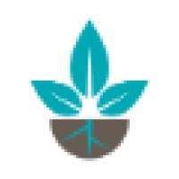 Rapacki + Co. P.A. Cpas