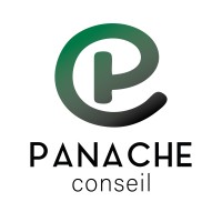 Panache Conseil logo - Similar company to Evolumia Solutions