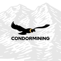 CONDORMINING logo - Similar company to Topmind