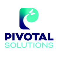 Pivotal Solutions logo - Similar company to Arkidu