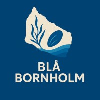 Blue Bornholm logo - Similar company to Ivandet