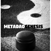 MetaDaogenesis logo - Similar company to D&S