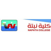 NAPATA COLLEGE كلية نبتة logo - Similar company to الجمعية السودانية لتقنية المعلومات والتحول الرقمي