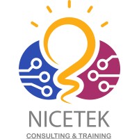 Nicetek logo - Similar company to Youth4Future